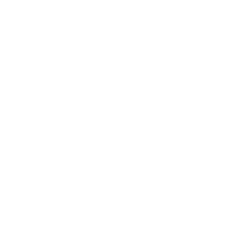 1.LOPOTYPO-BIANCO_stere