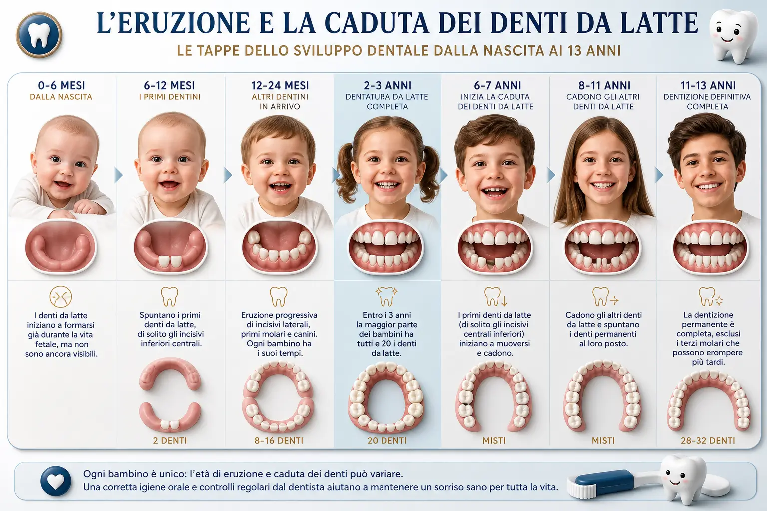 Infografica illustrata delle sette tappe dello sviluppo dentale nei bambini, dalla nascita ai 13 anni: dalla formazione fetale ai primi dentini tra i 6 e i 12 mesi, dalla dentatura da latte completa tra i 2 e i 3 anni all'inizio della caduta tra i 6 e i 7 anni, fino alla dentizione definitiva completa tra gli 11 e i 13 anni. Controlli periodici per la dentizione dei bambini a Lecce presso lo Studio Odontoiatrico Stere, in Via Giovanni Boccaccio 19 C/D/E, Lecce, Salento, Puglia — studiostere.it